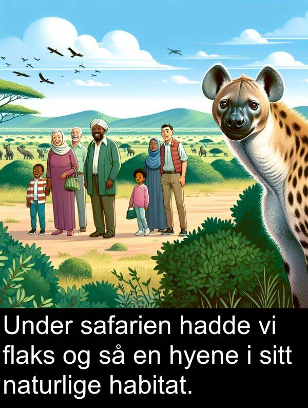 habitat: Under safarien hadde vi flaks og så en hyene i sitt naturlige habitat.