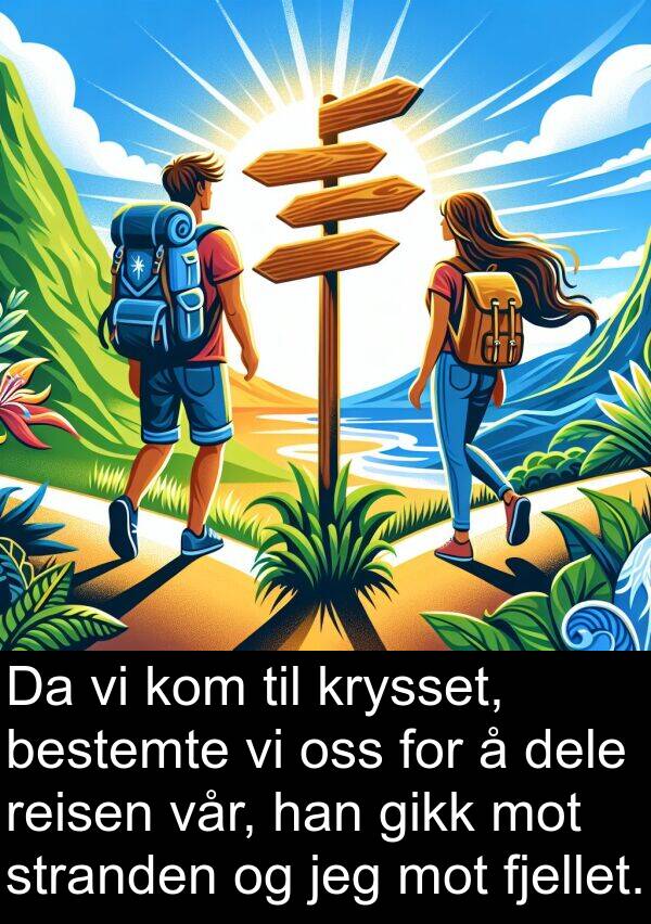 dele: Da vi kom til krysset, bestemte vi oss for å dele reisen vår, han gikk mot stranden og jeg mot fjellet.