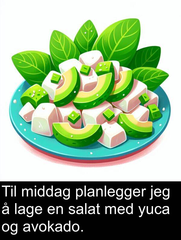 planlegger: Til middag planlegger jeg å lage en salat med yuca og avokado.