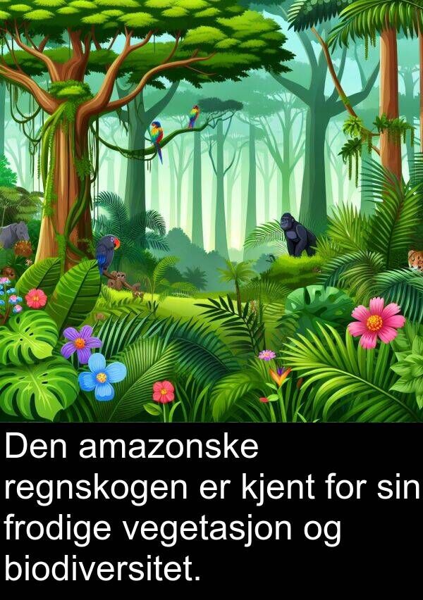 vegetasjon: Den amazonske regnskogen er kjent for sin frodige vegetasjon og biodiversitet.