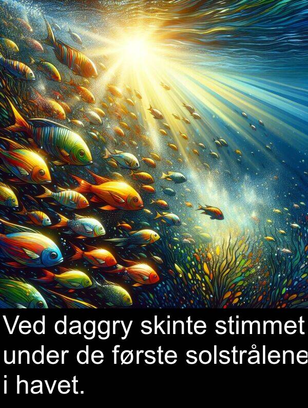 daggry: Ved daggry skinte stimmet under de første solstrålene i havet.