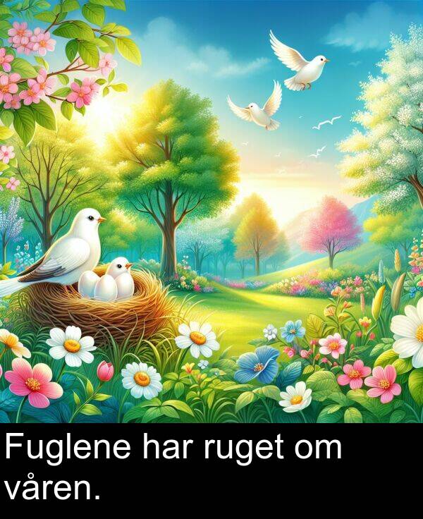 har: Fuglene har ruget om våren.