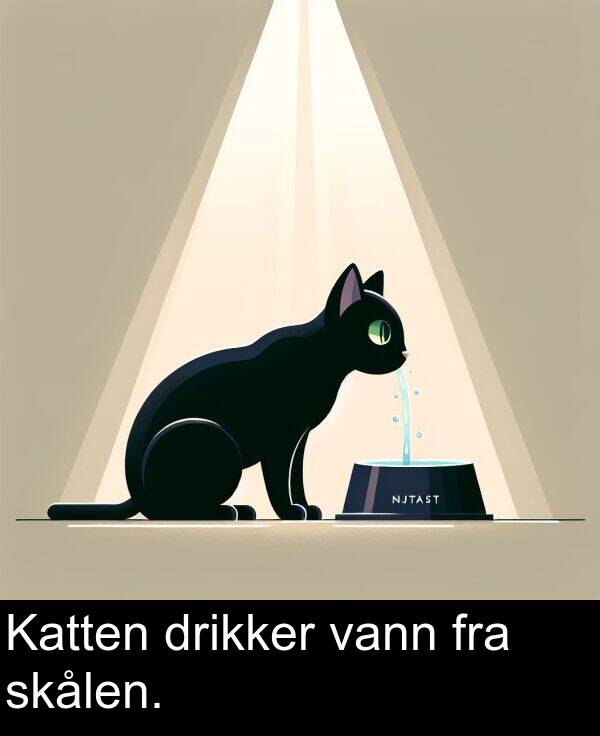 drikker: Katten drikker vann fra skålen.