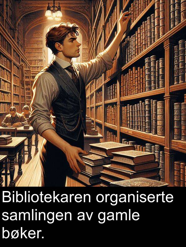 organiserte: Bibliotekaren organiserte samlingen av gamle bøker.