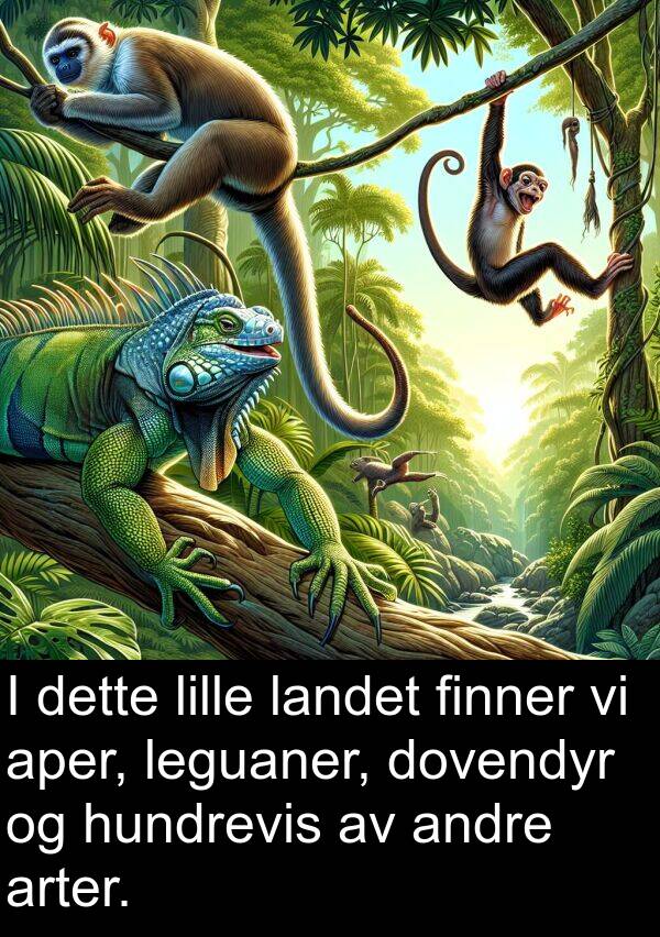 dette: I dette lille landet finner vi aper, leguaner, dovendyr og hundrevis av andre arter.