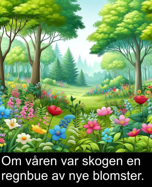 våren: Om våren var skogen en regnbue av nye blomster.