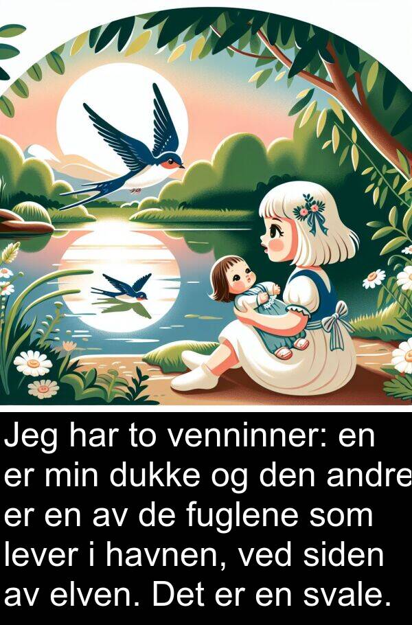 elven: Jeg har to venninner: en er min dukke og den andre er en av de fuglene som lever i havnen, ved siden av elven. Det er en svale.