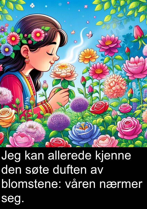 duften: Jeg kan allerede kjenne den søte duften av blomstene: våren nærmer seg.