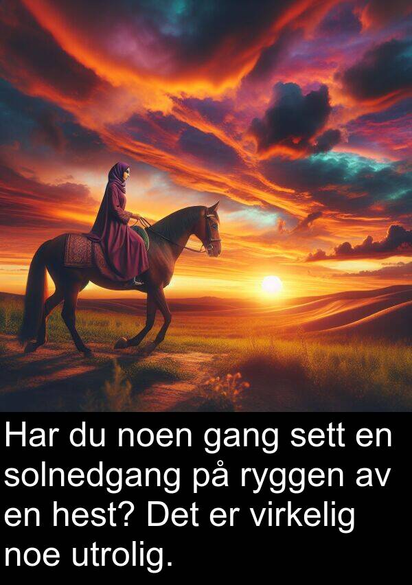 hest: Har du noen gang sett en solnedgang på ryggen av en hest? Det er virkelig noe utrolig.