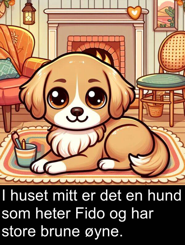 øyne: I huset mitt er det en hund som heter Fido og har store brune øyne.