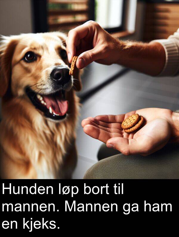 mannen: Hunden løp bort til mannen. Mannen ga ham en kjeks.