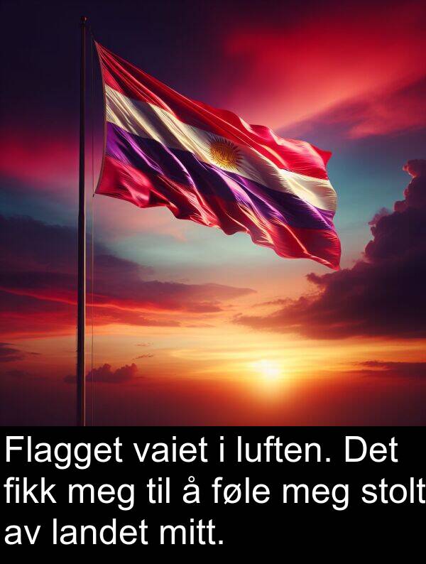 vaiet: Flagget vaiet i luften. Det fikk meg til å føle meg stolt av landet mitt.