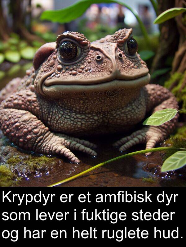 helt: Krypdyr er et amfibisk dyr som lever i fuktige steder og har en helt ruglete hud.