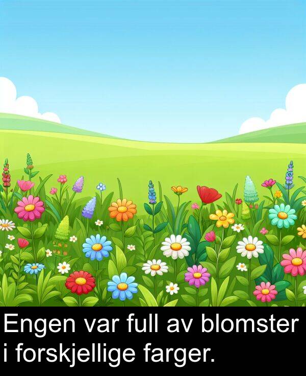 farger: Engen var full av blomster i forskjellige farger.