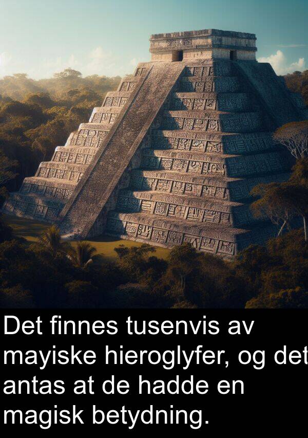 betydning: Det finnes tusenvis av mayiske hieroglyfer, og det antas at de hadde en magisk betydning.