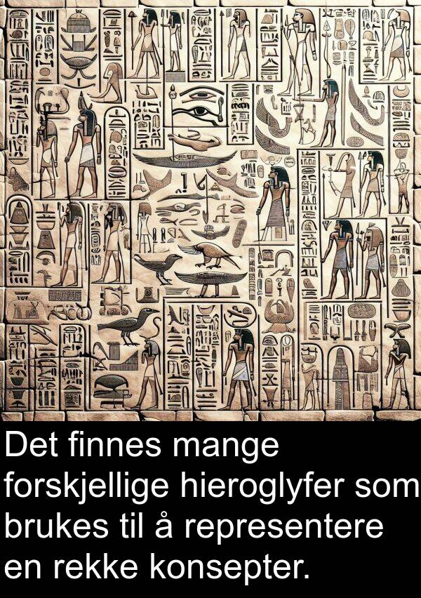 hieroglyfer: Det finnes mange forskjellige hieroglyfer som brukes til å representere en rekke konsepter.