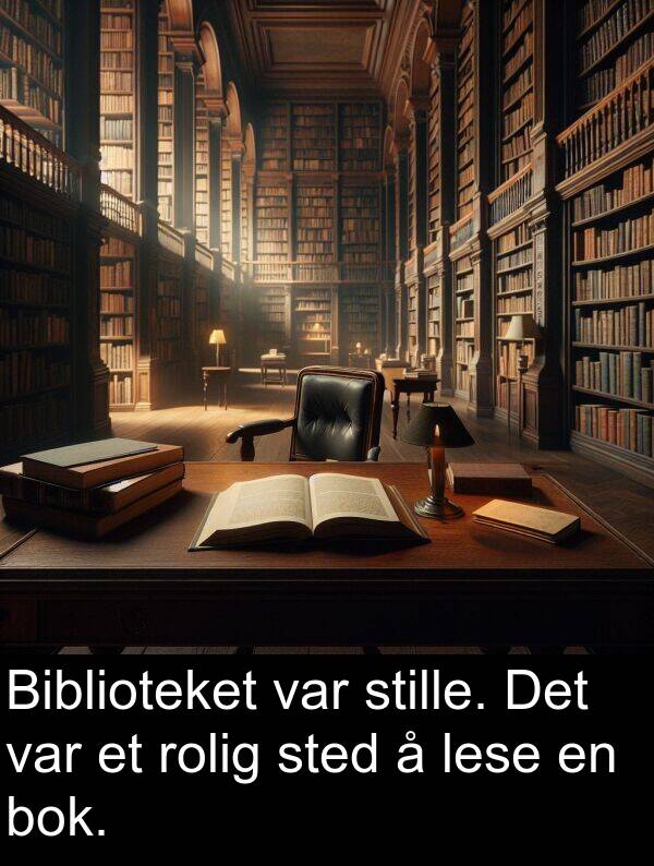 rolig: Biblioteket var stille. Det var et rolig sted å lese en bok.