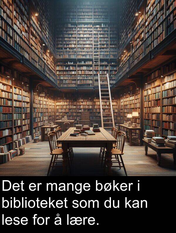 biblioteket: Det er mange bøker i biblioteket som du kan lese for å lære.