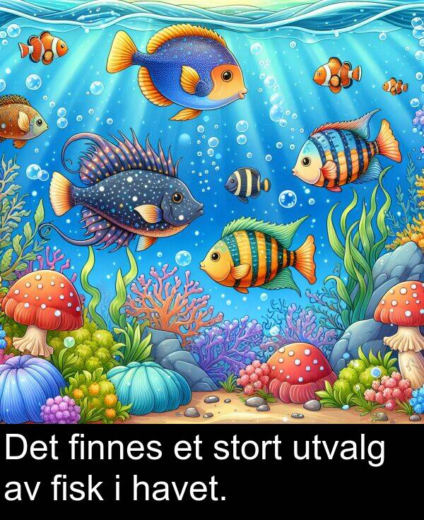 havet: Det finnes et stort utvalg av fisk i havet.