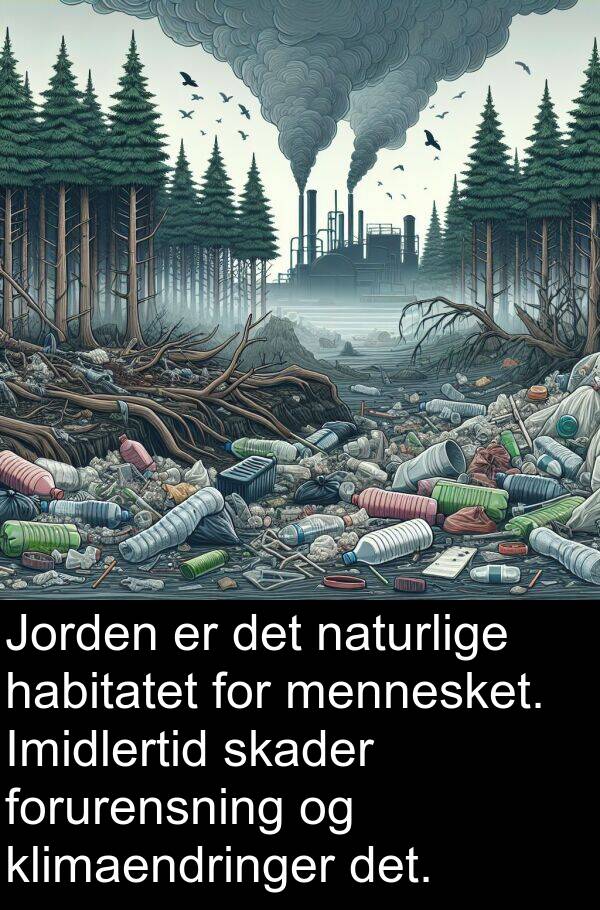 habitatet: Jorden er det naturlige habitatet for mennesket. Imidlertid skader forurensning og klimaendringer det.