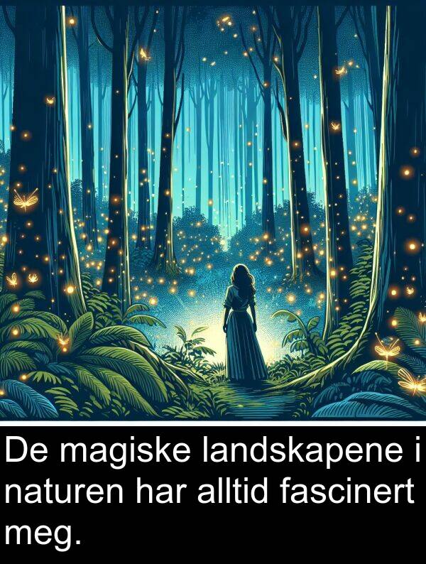 magiske: De magiske landskapene i naturen har alltid fascinert meg.