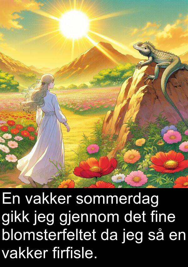 firfisle: En vakker sommerdag gikk jeg gjennom det fine blomsterfeltet da jeg så en vakker firfisle.