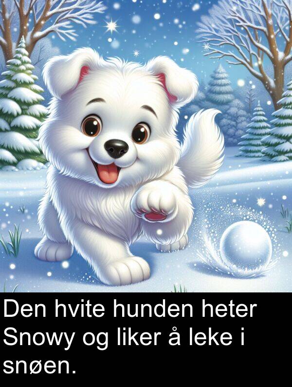 leke: Den hvite hunden heter Snowy og liker å leke i snøen.