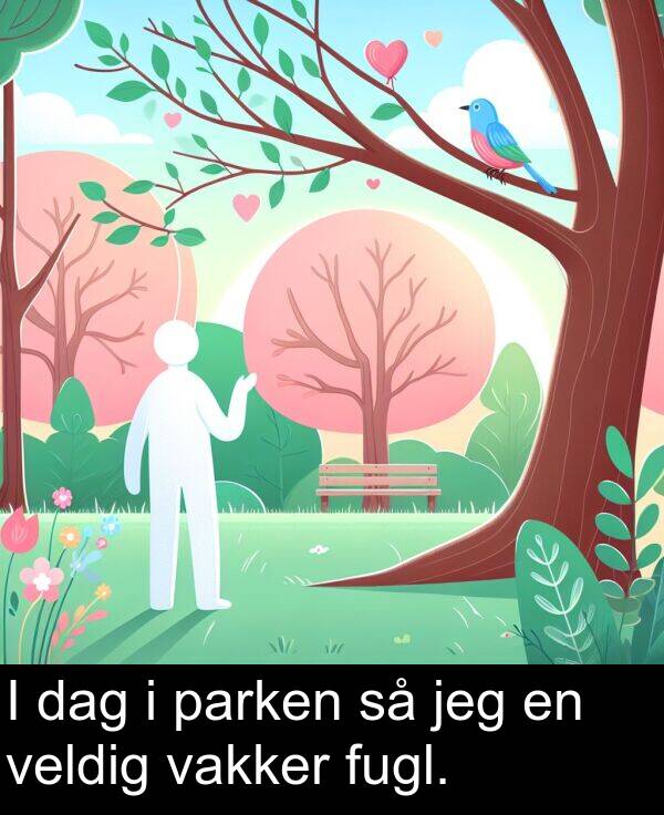 veldig: I dag i parken så jeg en veldig vakker fugl.