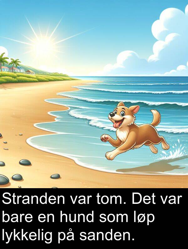 bare: Stranden var tom. Det var bare en hund som løp lykkelig på sanden.