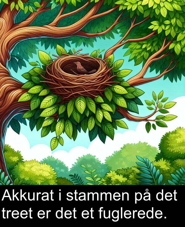 treet: Akkurat i stammen på det treet er det et fuglerede.