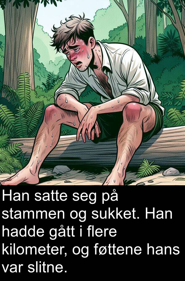 satte: Han satte seg på stammen og sukket. Han hadde gått i flere kilometer, og føttene hans var slitne.