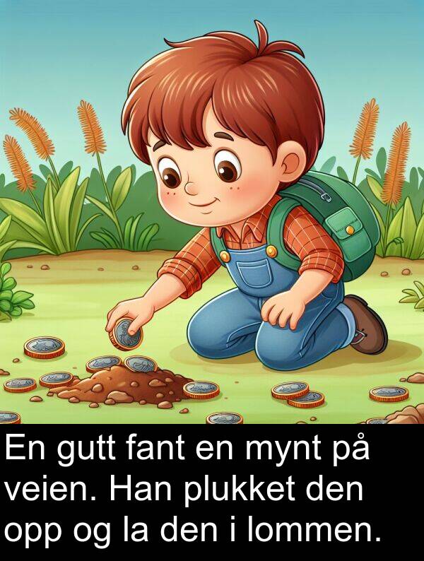 plukket: En gutt fant en mynt på veien. Han plukket den opp og la den i lommen.