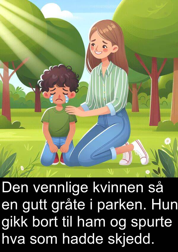 parken: Den vennlige kvinnen så en gutt gråte i parken. Hun gikk bort til ham og spurte hva som hadde skjedd.