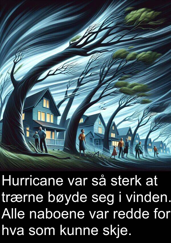 vinden: Hurricane var så sterk at trærne bøyde seg i vinden. Alle naboene var redde for hva som kunne skje.