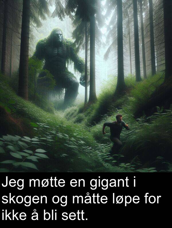 måtte: Jeg møtte en gigant i skogen og måtte løpe for ikke å bli sett.