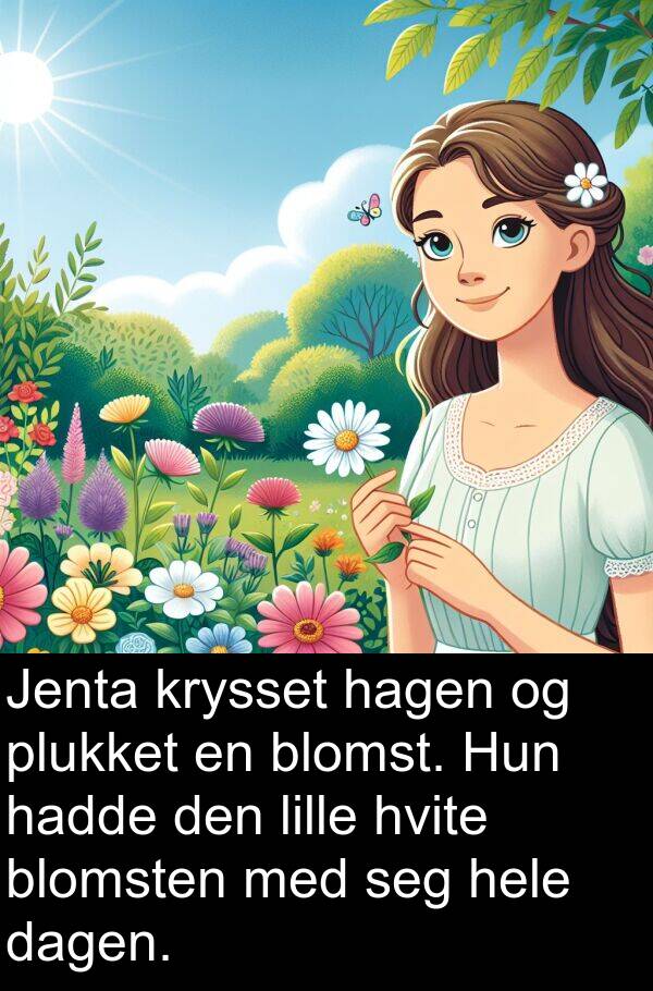 plukket: Jenta krysset hagen og plukket en blomst. Hun hadde den lille hvite blomsten med seg hele dagen.