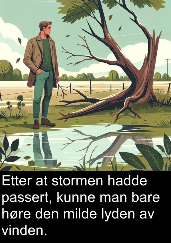 passert: Etter at stormen hadde passert, kunne man bare høre den milde lyden av vinden.