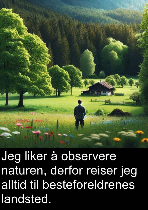 derfor: Jeg liker å observere naturen, derfor reiser jeg alltid til besteforeldrenes landsted.