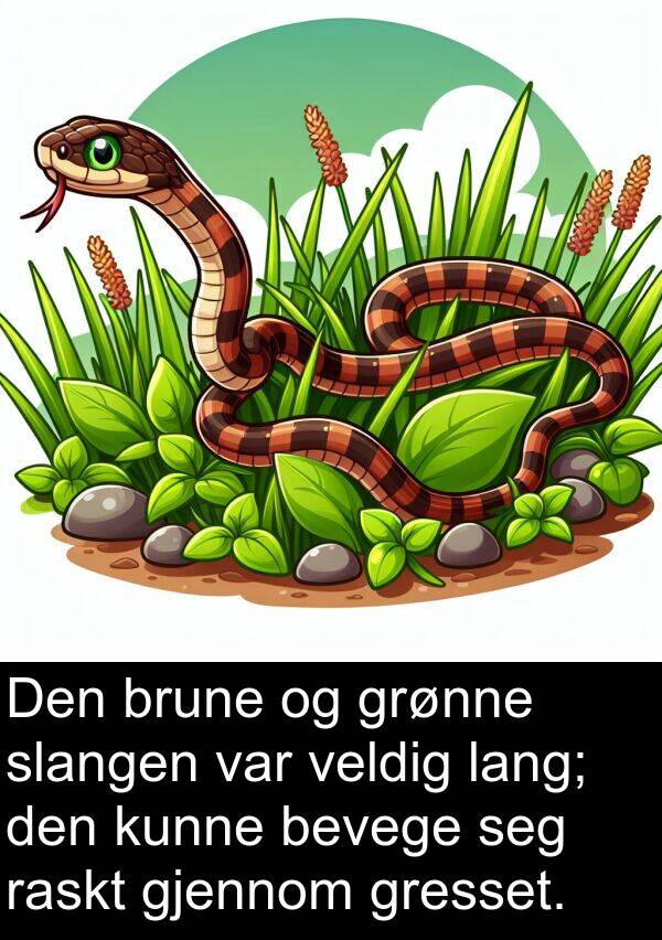 bevege: Den brune og grønne slangen var veldig lang; den kunne bevege seg raskt gjennom gresset.