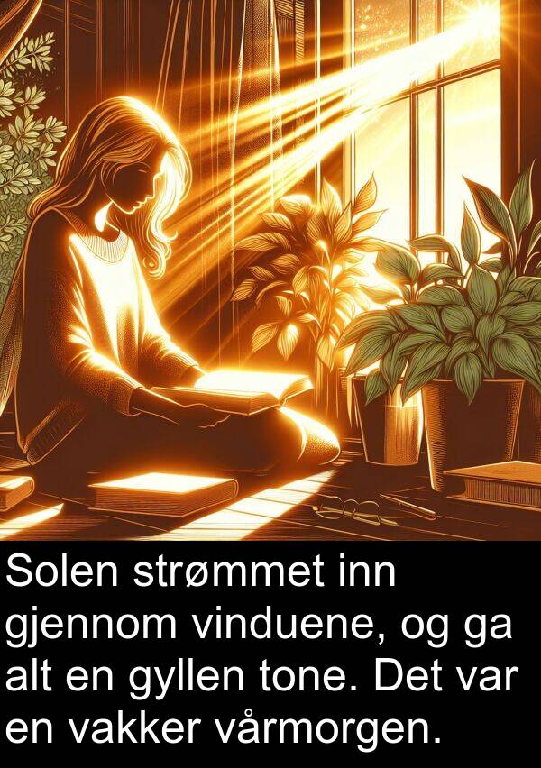 vinduene: Solen strømmet inn gjennom vinduene, og ga alt en gyllen tone. Det var en vakker vårmorgen.