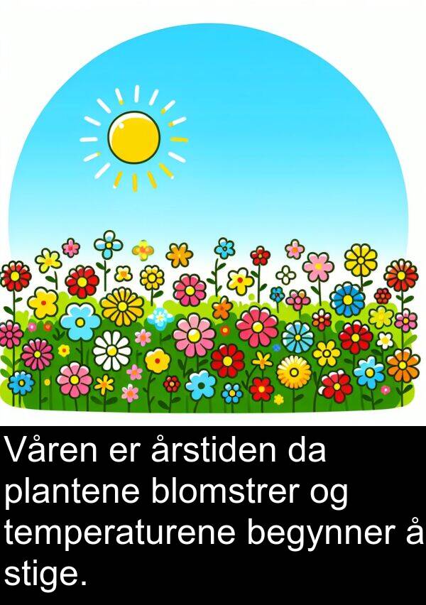 begynner: Våren er årstiden da plantene blomstrer og temperaturene begynner å stige.