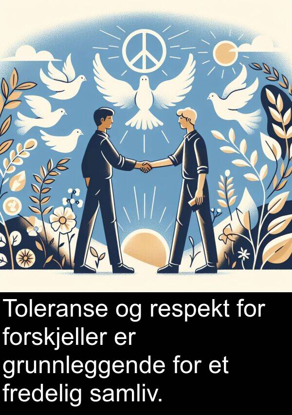 grunnleggende: Toleranse og respekt for forskjeller er grunnleggende for et fredelig samliv.