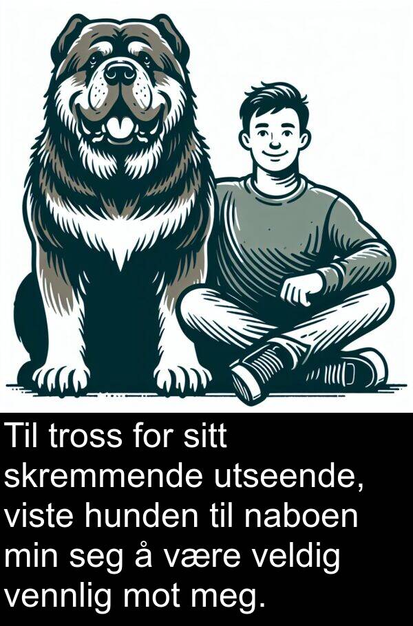 vennlig: Til tross for sitt skremmende utseende, viste hunden til naboen min seg å være veldig vennlig mot meg.