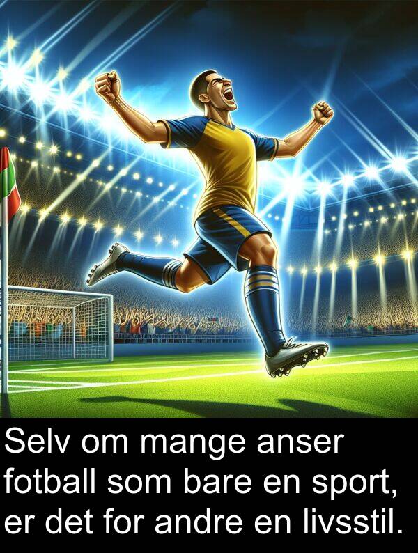 anser: Selv om mange anser fotball som bare en sport, er det for andre en livsstil.