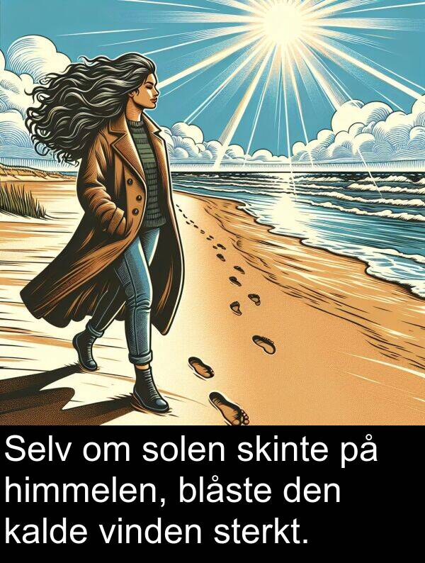 vinden: Selv om solen skinte på himmelen, blåste den kalde vinden sterkt.