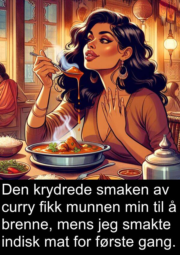 mat: Den krydrede smaken av curry fikk munnen min til å brenne, mens jeg smakte indisk mat for første gang.