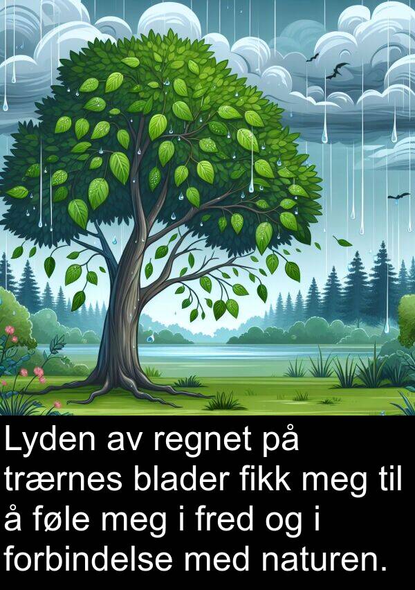 naturen: Lyden av regnet på trærnes blader fikk meg til å føle meg i fred og i forbindelse med naturen.