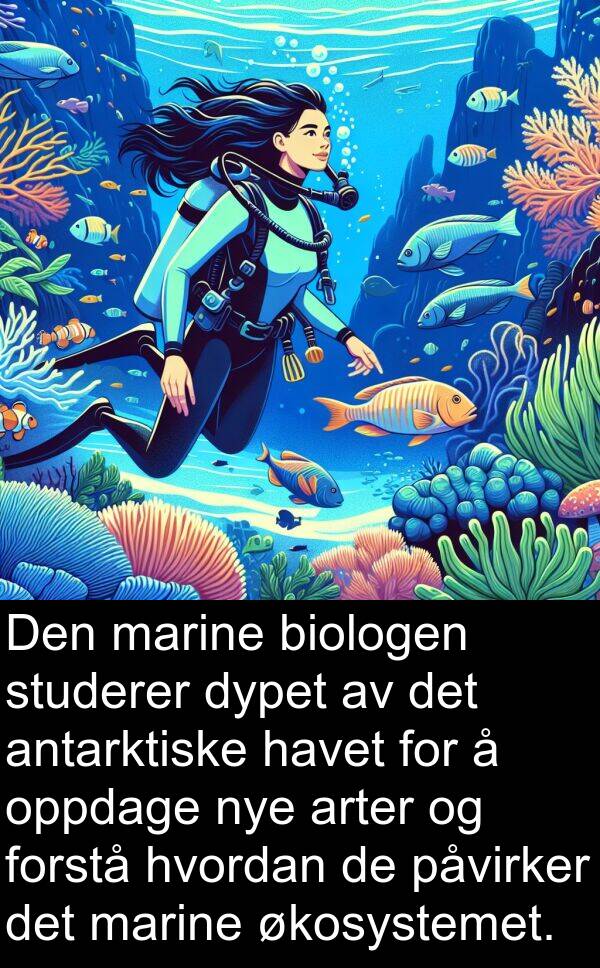 marine: Den marine biologen studerer dypet av det antarktiske havet for å oppdage nye arter og forstå hvordan de påvirker det marine økosystemet.