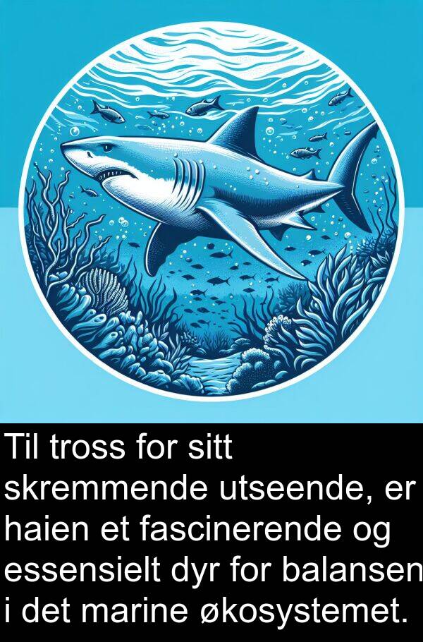 balansen: Til tross for sitt skremmende utseende, er haien et fascinerende og essensielt dyr for balansen i det marine økosystemet.