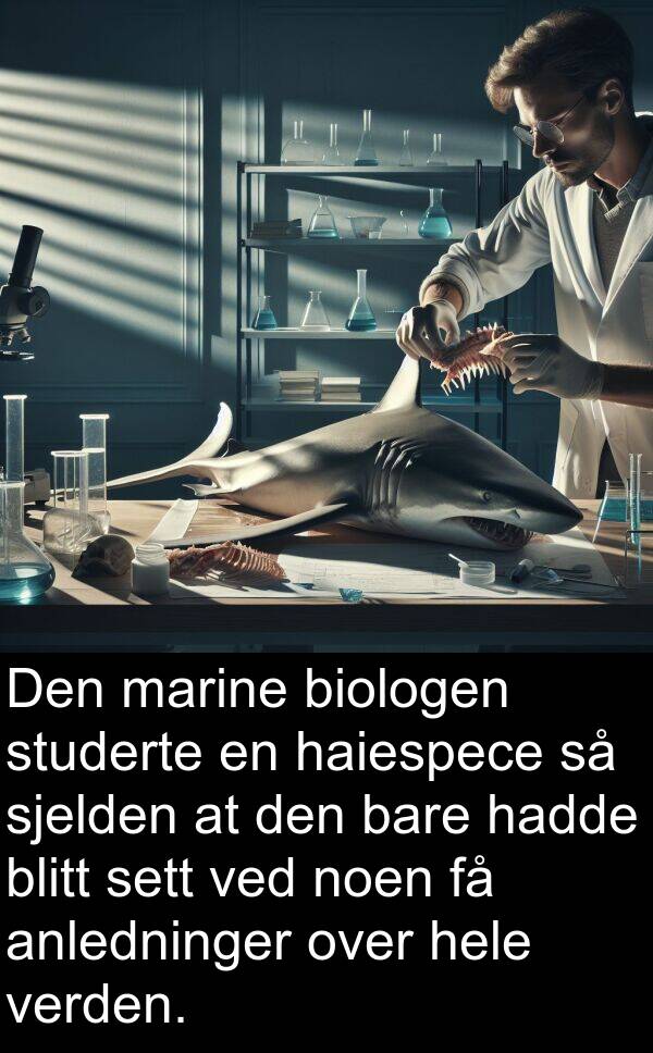 marine: Den marine biologen studerte en haiespece så sjelden at den bare hadde blitt sett ved noen få anledninger over hele verden.